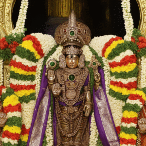 Tirupati One Day NRI Darshan Tour Package from Chennai